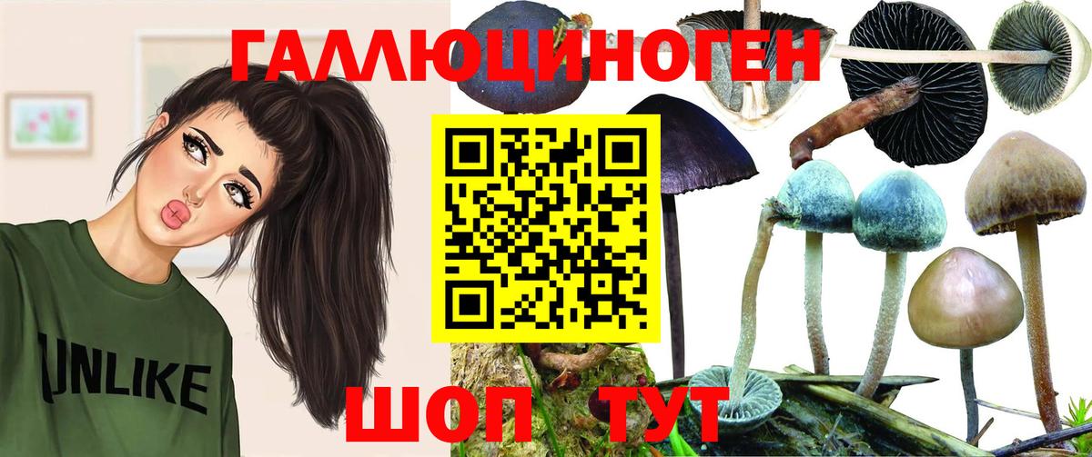 Кострома  Галлюциногенные грибы MAGIC MUSHROOMS  Вход с VPN 