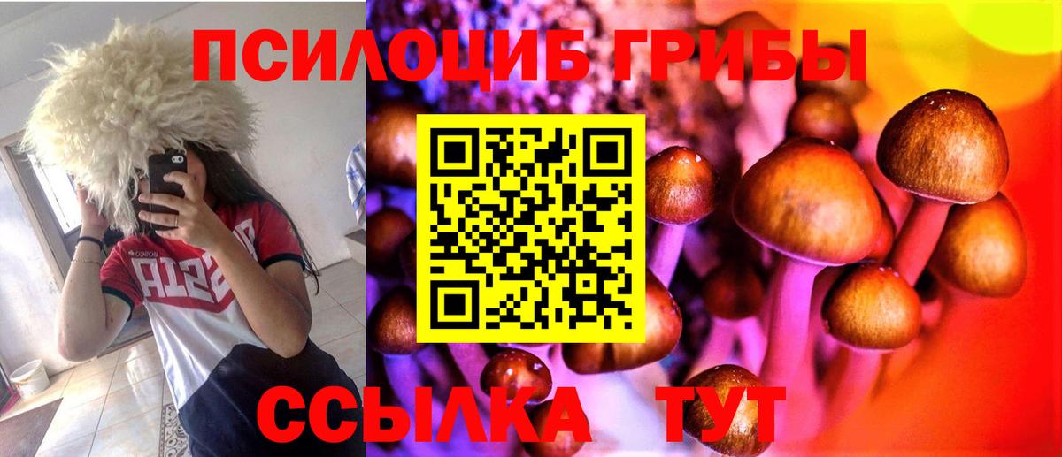 Галлюциногенные грибы GOLDEN TEACHER Кострома
